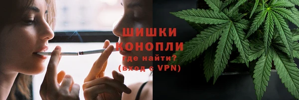 apvp Ельня