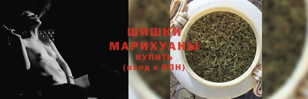 apvp Ельня