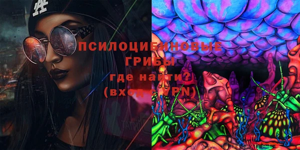 apvp Ельня