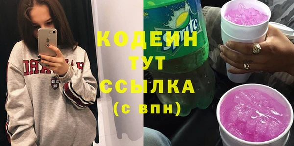 apvp Ельня