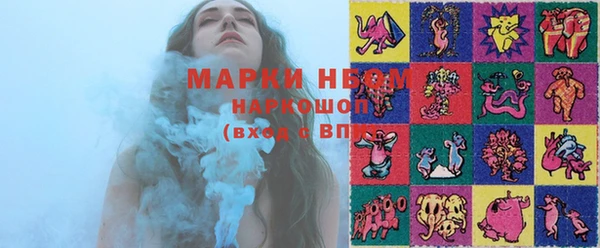 бошки Елабуга