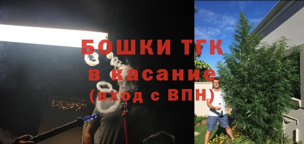 бошки Елабуга