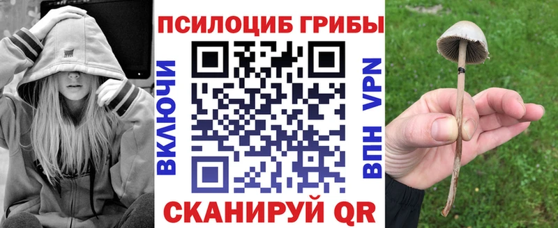 Галлюциногенные грибы Psilocybe  Купить  Красноперекопск 