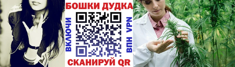 Конопля сатива  Купить  Красноперекопск 